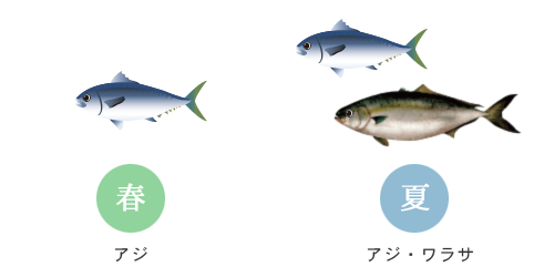 年間の釣物