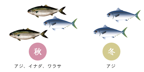 年間の釣物